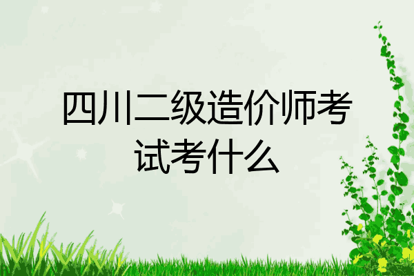 四川二级造价师考试考什么