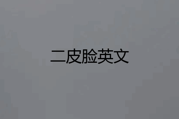 二皮脸英文