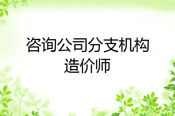 咨询公司分支机构造价师