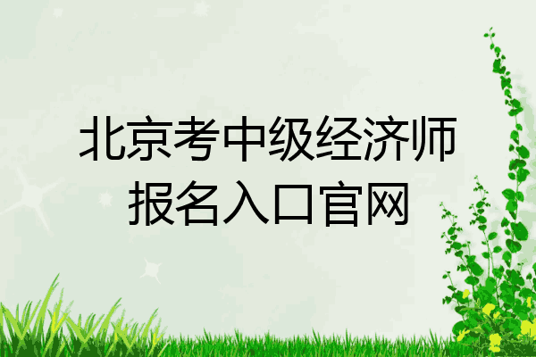 北京考中级经济师报名入口官网