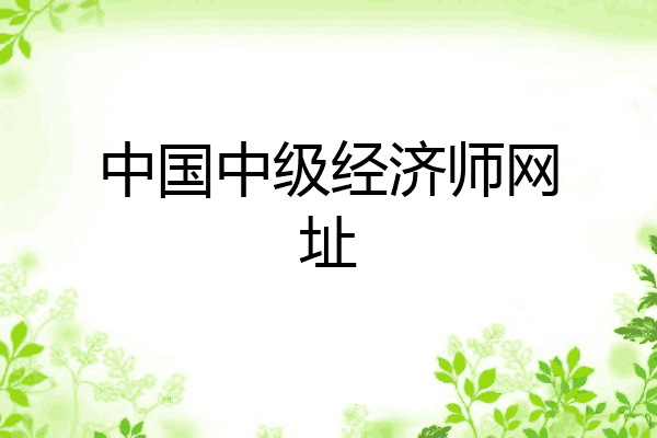 中国中级经济师网址