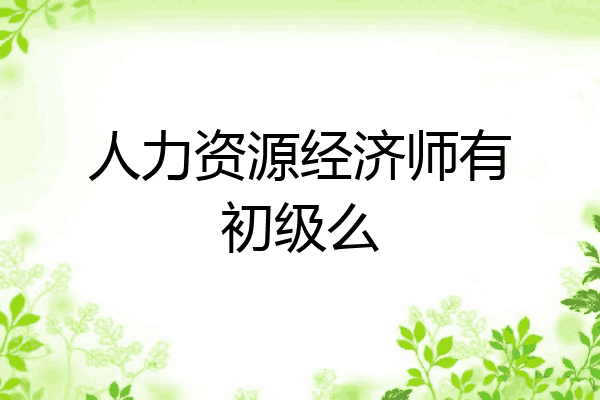 人力资源经济师有初级么