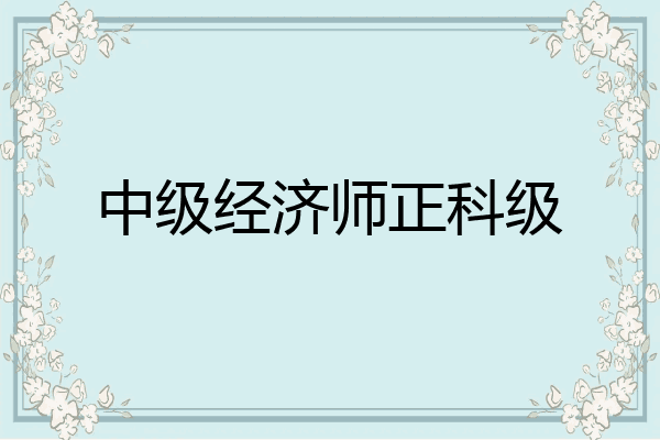 中级经济师正科级