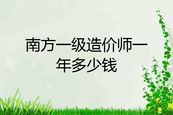南方一级造价师一年多少钱