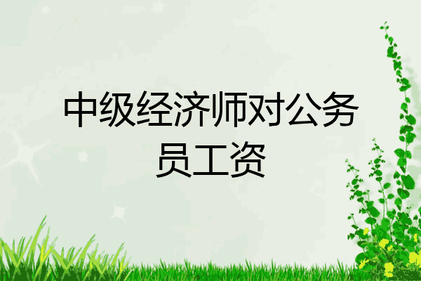 中级经济师对公务员工资