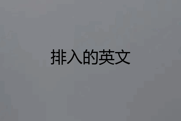 排入的英文