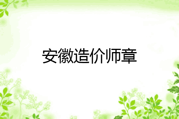 安徽造价师章