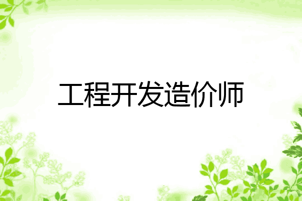 工程开发造价师