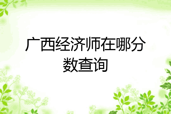 广西经济师在哪分数查询