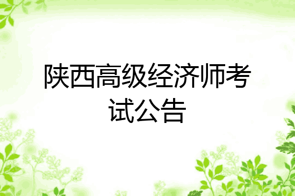 陕西高级经济师考试公告