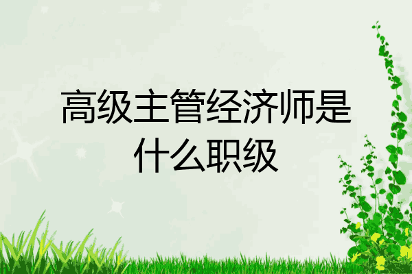 高级主管经济师是什么职级