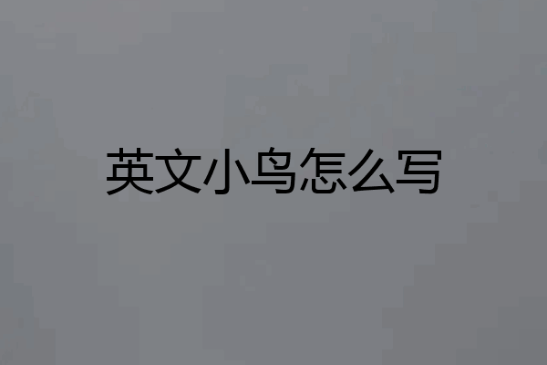 英文小鸟怎么写