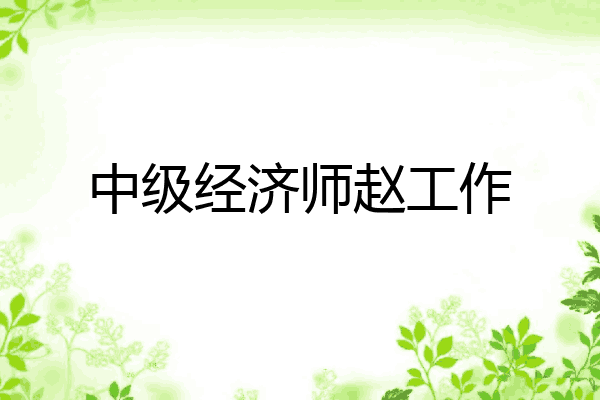 中级经济师赵工作