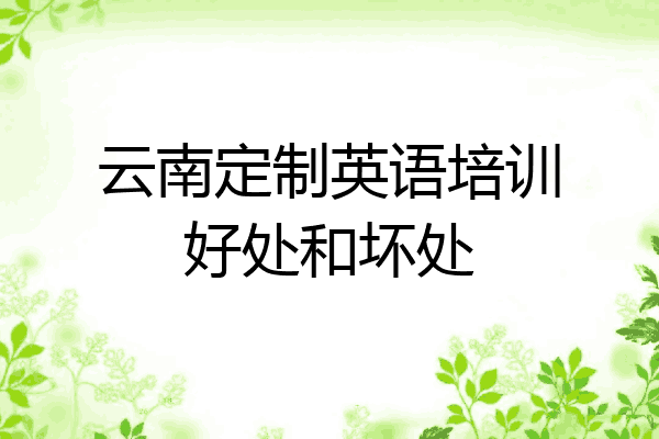 云南定制英语培训好处和坏处