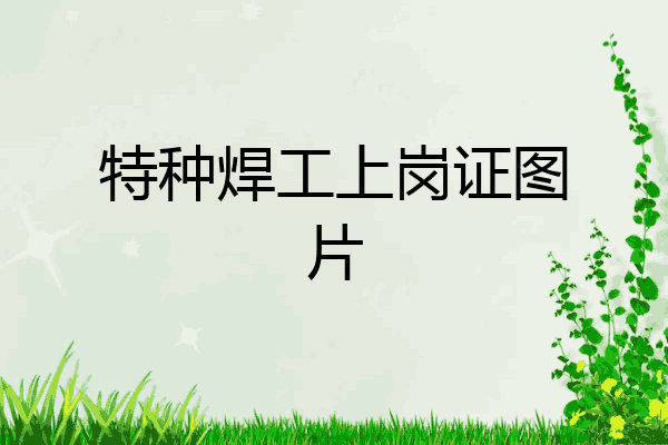 特种焊工上岗证图片