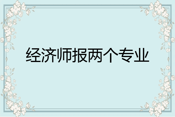 经济师报两个专业