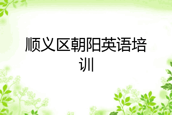 顺义区朝阳英语培训