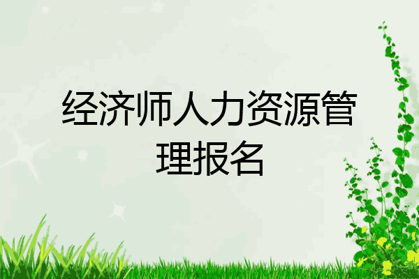 经济师人力资源管理报名
