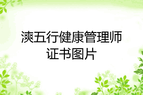 漺五行健康管理师证书图片