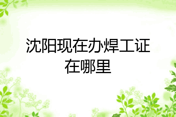 沈阳现在办焊工证在哪里