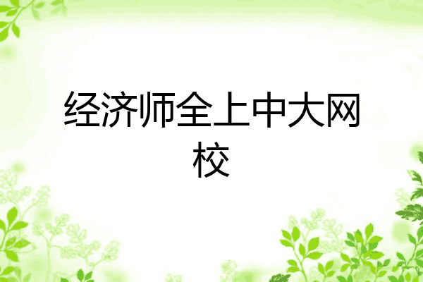经济师全上中大网校