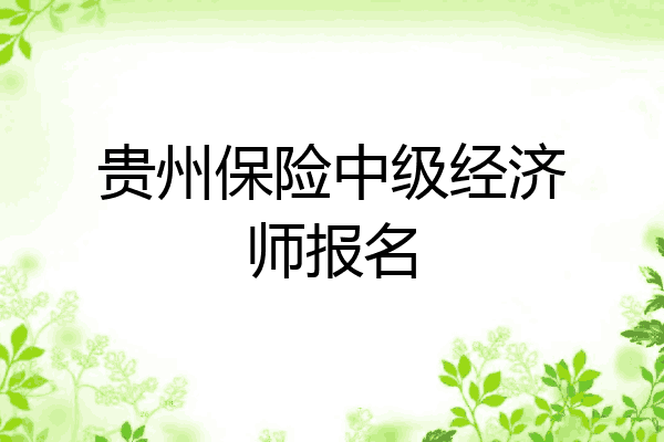 贵州保险中级经济师报名
