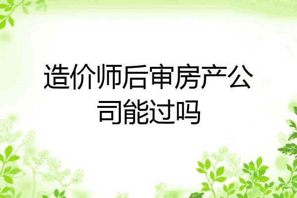 造价师后审房产公司能过吗