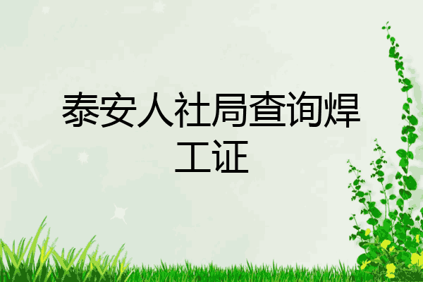 泰安人社局查询焊工证