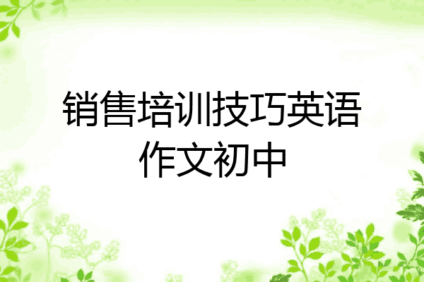 销售培训技巧英语作文初中