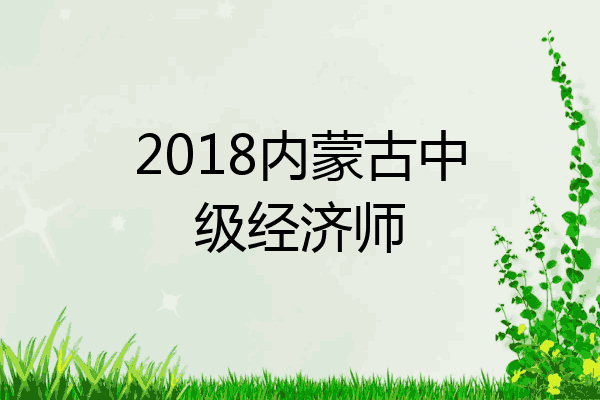 2018内蒙古中级经济师