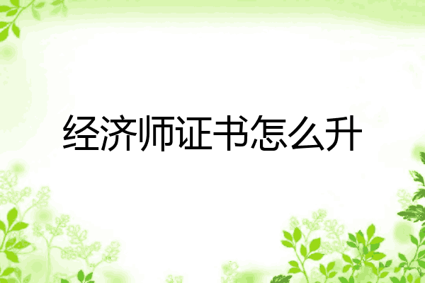 经济师证书怎么升