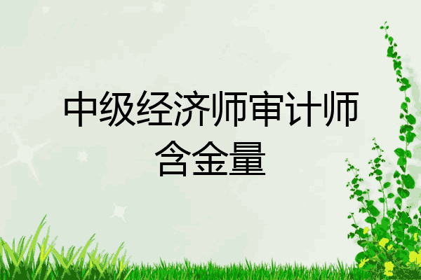 中级经济师审计师含金量