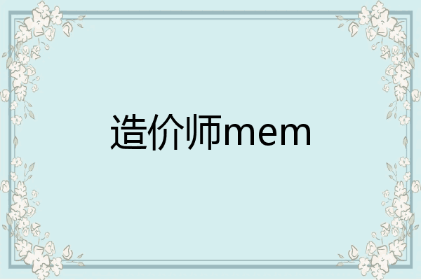 造价师mem