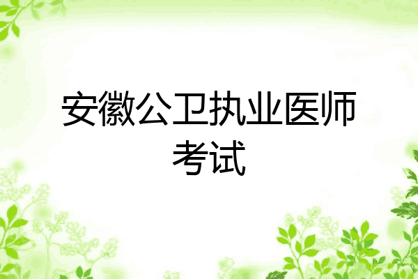 安徽公卫执业医师考试