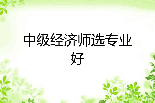 中级经济师选专业好