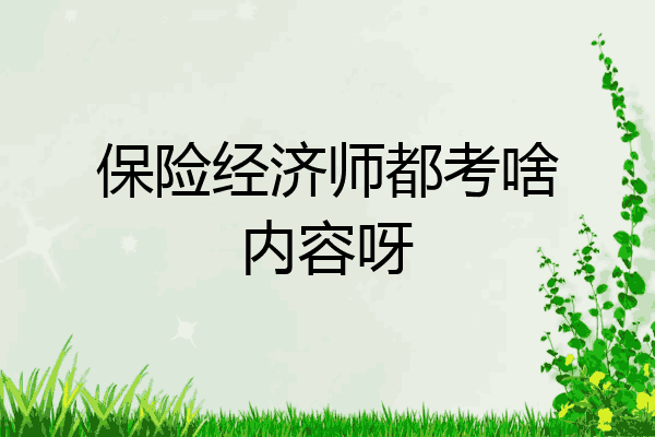 保险经济师都考啥内容呀