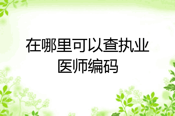 在哪里可以查执业医师编码