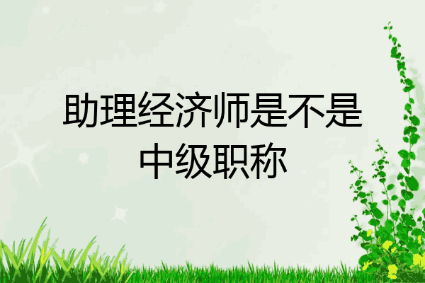 助理经济师是不是中级职称