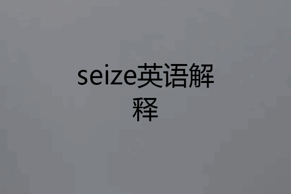 seize英语解释