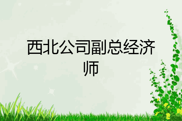 西北公司副总经济师