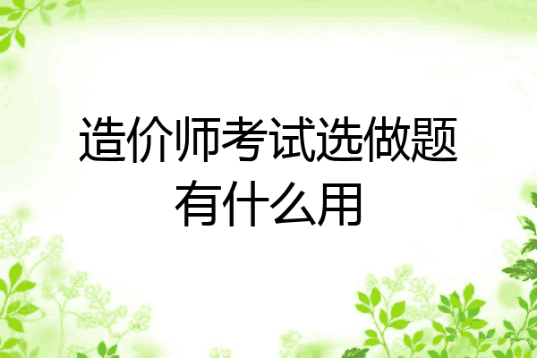 造价师考试选做题有什么用