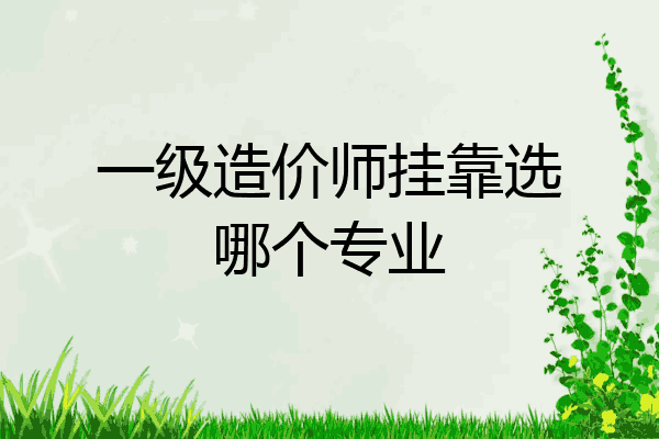 一级造价师挂靠选哪个专业