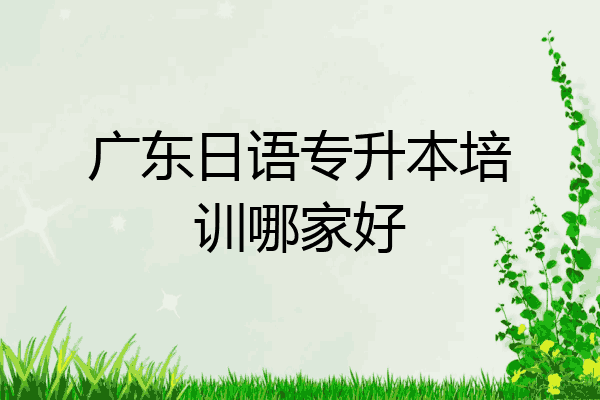 广东日语专升本培训哪家好