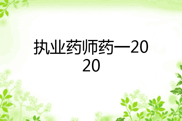 执业药师药一2020