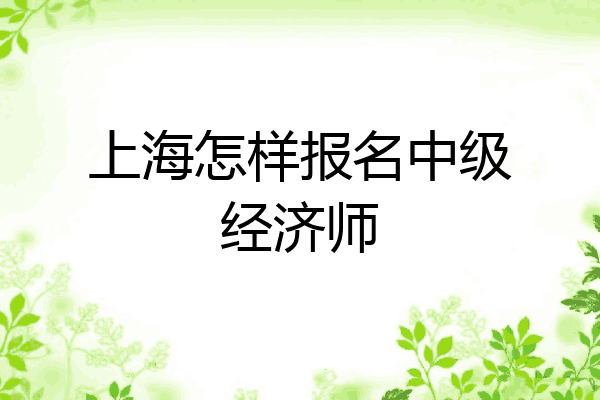 上海怎样报名中级经济师