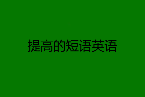 提高的短语英语