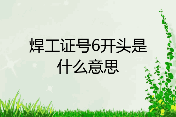 焊工证号6开头是什么意思
