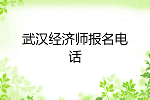 武汉经济师报名电话