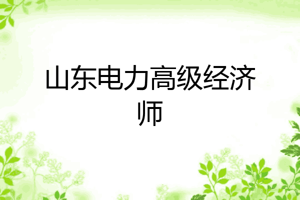 山东电力高级经济师