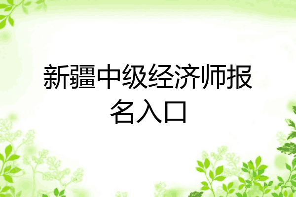 新疆中级经济师报名入口